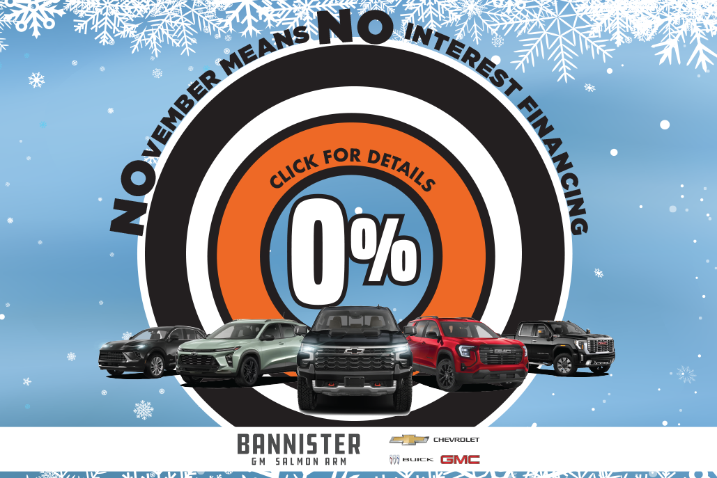 No Interest November